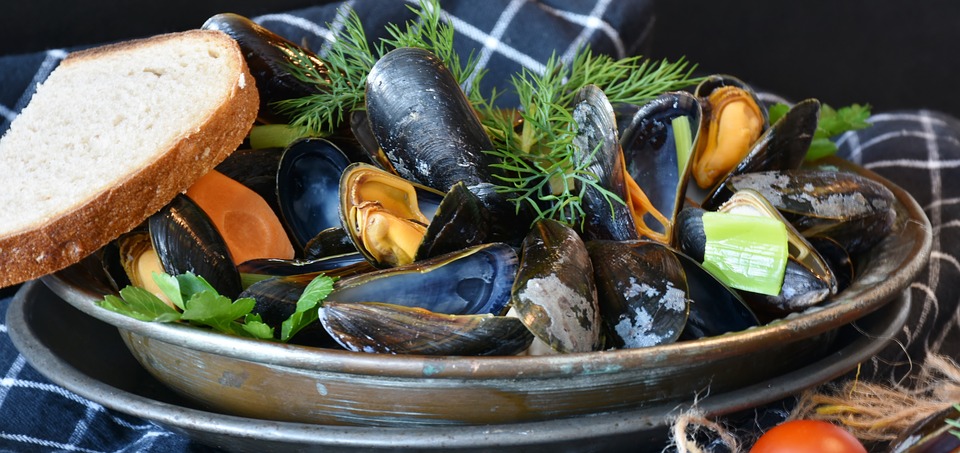 mussels-3148439_960_720